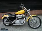 Super nette XL 883 C Sportster Custom / XL883, Motoren, Chopper, 883 cc, Particulier, Meer dan 35 kW
