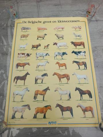 Poster Aveve , 1987 Groot en kleinvee Belgisch  beschikbaar voor biedingen