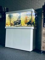 Aqarium juwel, Ophalen, Zo goed als nieuw