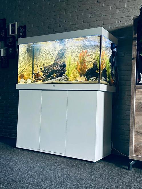 Aqarium juwel, Dieren en Toebehoren, Vissen | Aquaria en Toebehoren, Zo goed als nieuw, Ophalen