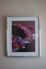 Ikea kader 42x52cm met foto 2, Huis en Inrichting, Ophalen, Minder dan 50 cm, Gebruikt, 50 tot 75 cm