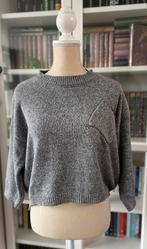 Pull court Ad jeans t.unique, Ad jeans, Ophalen of Verzenden, Zo goed als nieuw, Grijs