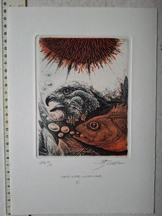 Fraaie kleurets Hugo Besard "Aarde, water, lucht & vuur II", Antiek en Kunst, Kunst | Etsen en Gravures, Ophalen of Verzenden