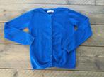 SOMEONE, kobalt blauwe cardigan / vest maat 146, Ophalen of Verzenden, Someone, Meisje, Trui of Vest