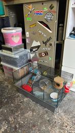 Hamster/gerbil/muis kooi + benodigdheden., Dieren en Toebehoren, Minder dan 60 cm, Kooi, Minder dan 75 cm, Ophalen of Verzenden