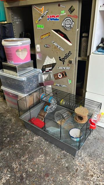 Hamster/gerbil/muis kooi + benodigdheden. beschikbaar voor biedingen