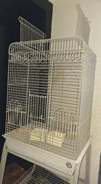 cage pour oiseaux , perruche , perroquet de marque Montana, Dieren en Toebehoren, Vogels | Hokken en Kooien, Ophalen, Zo goed als nieuw