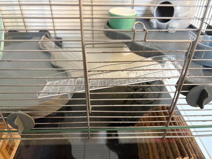 Hamsterhuisje, Dieren en Toebehoren, Knaagdieren en Konijnen | Hokken en Kooien, Hamster, Ophalen