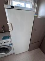 Diepvriezer, Elektronische apparatuur, Vriezers en Diepvrieskisten, Gebruikt, 160 cm of meer, Vrijstaand, Ophalen