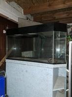 aquarium, Dieren en Toebehoren, Ophalen, Gebruikt, Leeg aquarium