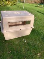 Cage de transport pour chien, Enlèvement