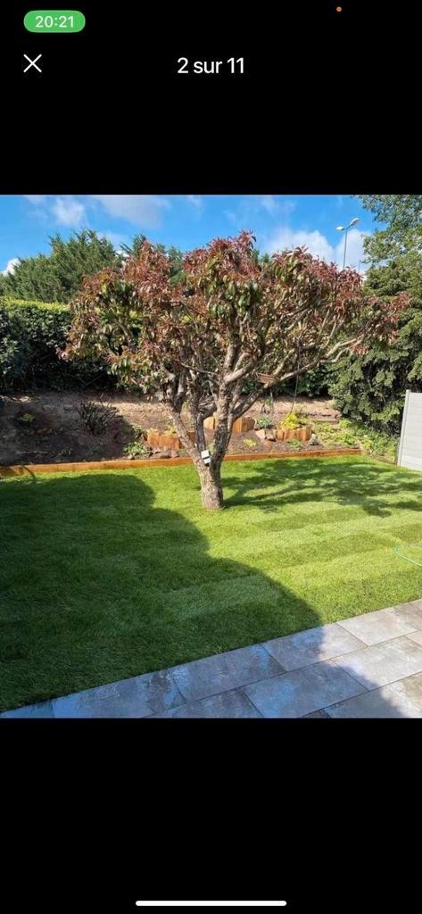 Gazon en rouleaux top qualité ‍️, Jardin & Terrasse, Plantes | Arbres, Enlèvement ou Envoi