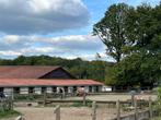 Pension, Dieren en Toebehoren, 1 paard of pony