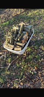 Brandhout van dit jaar, Enlèvement