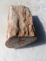 400 gram zware fossiel hout versteend zie foto's voor detail, Verzamelen, Ophalen of Verzenden, Fossiel