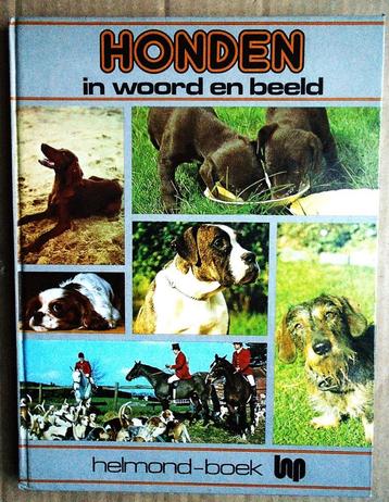 Honden in woord en beeld - 1976 - Kenneth Bailey beschikbaar voor biedingen