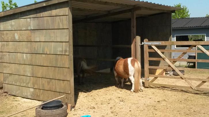 Schuilstal, paardenstal in voorraad, Dieren en Toebehoren, Stalling en Weidegang, Stalling, 2 of 3 paarden of pony's