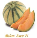Zaden van Meloen  Savor  oogst 2025, Ophalen of Verzenden, Voorjaar, Zaad