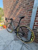 Eddy Merckx San Remo racefiets MAAT 56, Carbon, 10 tot 15 versnellingen, Heren, 53 tot 57 cm