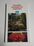 Een boekje over cactussen en vetplanten kleur verschillende, Boeken, Ophalen, Zo goed als nieuw