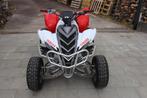 yamaha raptor 700
