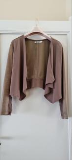 NIEUW artikel : Olay korte jas - Maat M, Kleding | Dames, Maat 38/40 (M), Nieuw, Ophalen of Verzenden, Olay
