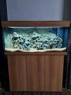 Zeer complete aquarium Juwel Rio 180 met buitenfilter, Animaux & Accessoires, Poissons | Aquariums & Accessoires, Comme neuf, Enlèvement ou Envoi