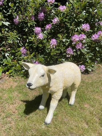 (Tuin)Beeld texel schaap lammetje, eye catcher tuin, boerder, Enlèvement, Neuf, Synthétique, Animal