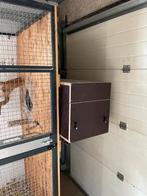 Boîte de culture pour ARAS, Animaux & Accessoires, Oiseaux | Cages & Volières, Comme neuf, Bois, Cage d'élevage, Enlèvement
