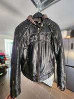 Harley dames jas M, Motoren, Kleding | Motorkleding, Ophalen, Jas | leer, Harley Davidson, Dames