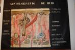 Antieke schoolkaart gevoelszintuig de huid, Antiquités & Art, Antiquités | Cartes scolaires, Enlèvement