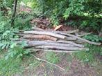Gratis stookhout, Tuin en Terras, Ophalen