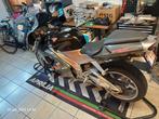 Aprilia rsv mille, Motoren, Motoren | Aprilia, 2 cilinders, Sportuitlaat, Super Sport, Particulier