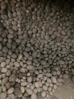 Aardappelen voeder, Ophalen