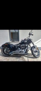 Softail slim, Motoren, Particulier