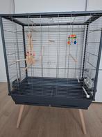 GRANDE CAGE POUR OISEAUX, Animaux & Accessoires, Enlèvement