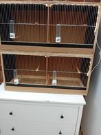 À vendre : cages d'élevage où vous disposez de deux comparti, Animaux & Accessoires, Oiseaux | Cages & Volières, Comme neuf, Bois