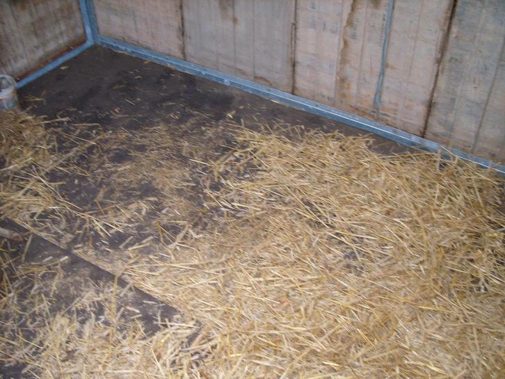 stalmatten op maat, Dieren en Toebehoren, Stalling en Weidegang, Opfok, Stalling, Weidegang, Accessoires