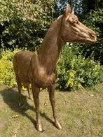 Paard, goud, tuin, gazon, manege, 100cm, Ophalen, Nieuw, Kunststof, Dierenbeeld
