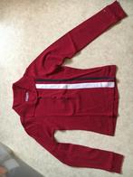 Mooi rood poloshirt Tommy Hilfiger maat Small NIEUW!, Tommy Hilfiger, Manches longues, Rouge, Enlèvement ou Envoi