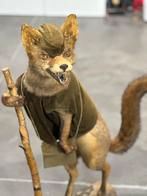 Unieke vos taxidermie, Enlèvement ou Envoi