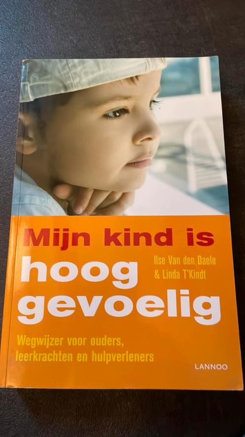 Ilse van den Daele - Mijn kind is hooggevoelig, Boeken, Zwangerschap en Opvoeding, Zo goed als nieuw, Ophalen