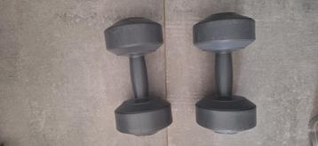 Fitnes gewichten beschikbaar voor biedingen