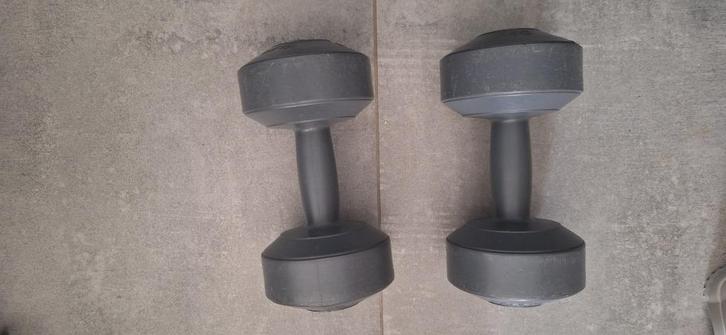 Fitnes gewichten, Sport en Fitness, Fitnessmaterialen, Gebruikt, Dumbbell, Ophalen