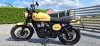 royal enfield Interceptor bear 650 signal
