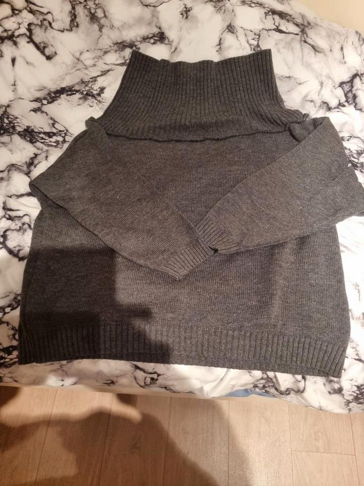 Nooit gedragen wel 1x gewassen voor in de kast de leggen!

M, Kleding | Dames, Grote Maten, Nieuw, Blouse of Tuniek, Grijs, Ophalen of Verzenden