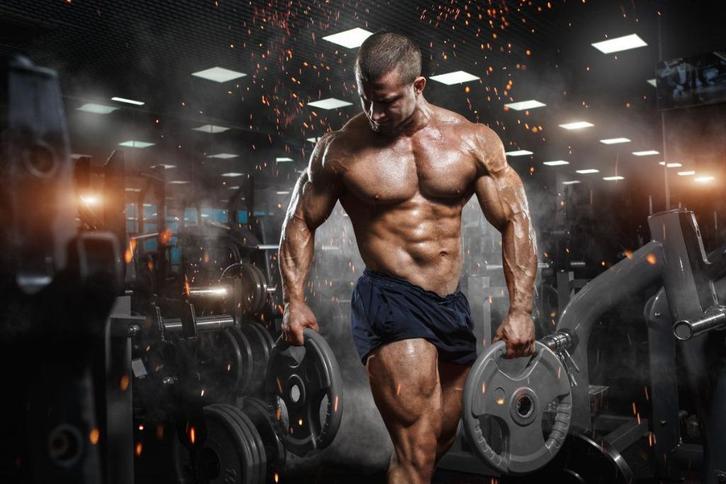 Cycle Support Stack – Cut | Bulk | Recomp, Sport en Fitness, Fitnessmaterialen, Nieuw, Armen, Benen, Borst, Buik, Rug, Ophalen of Verzenden