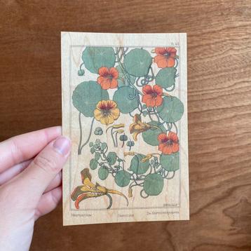 Woodhi postkaart bloemen beschikbaar voor biedingen