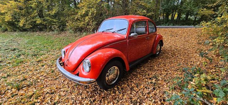 Volkswagen Coccinelle, Auto's, Volkswagen, Particulier, Beetle (Kever), Rood, Ophalen