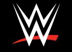 CHERCHE Objets WWE